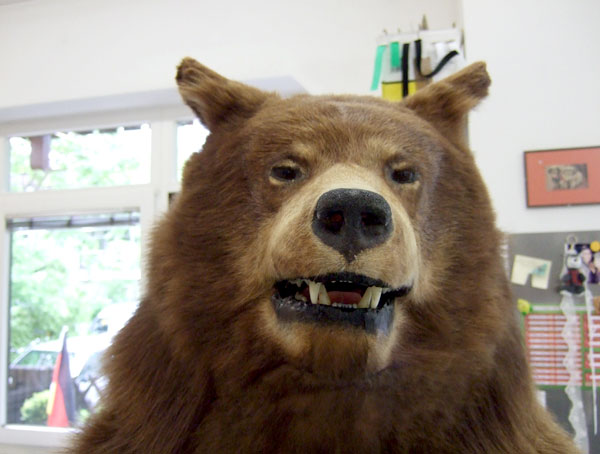 Impossante Bären-Kostüm für den Spielfilm Der Bär ist los