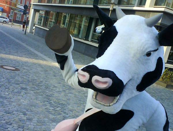 Kühe - Kostümgestaltung für europaweite Promotion Events