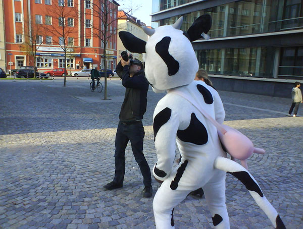 Kühe - Kostümgestaltung für europaweite Promotion Events